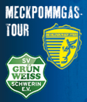 Logo Mecklenburger Stiere und SV Grün Weiss Schwerin e. V, Copyright: SWS
